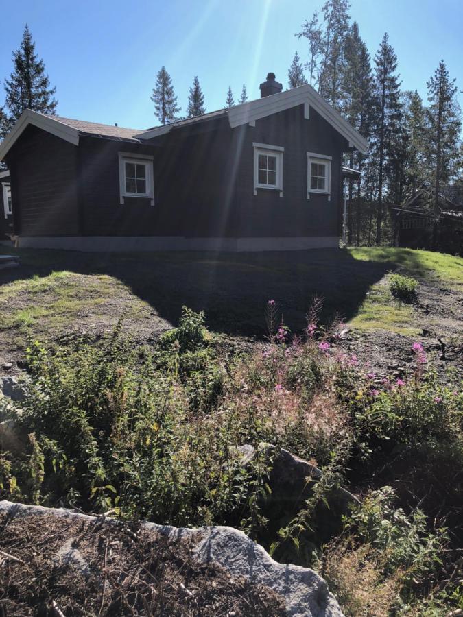 Fresh Familie Hytte Hemsedal Esterno foto