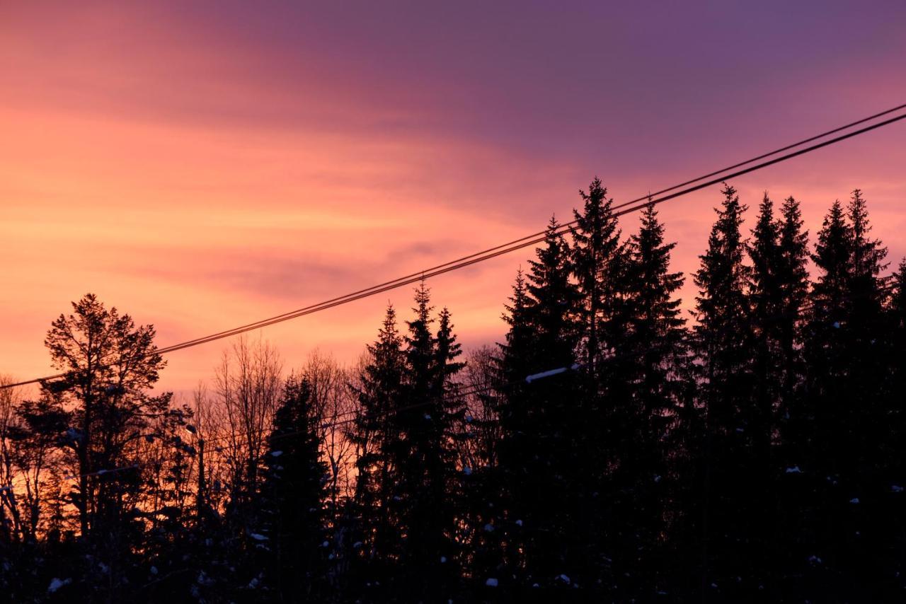 Fresh Familie Hytte Hemsedal Esterno foto